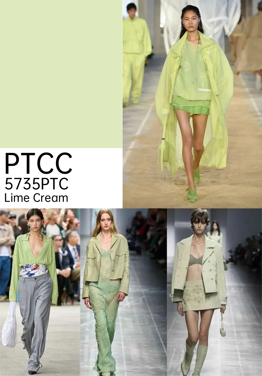 lime cream popular color 2025